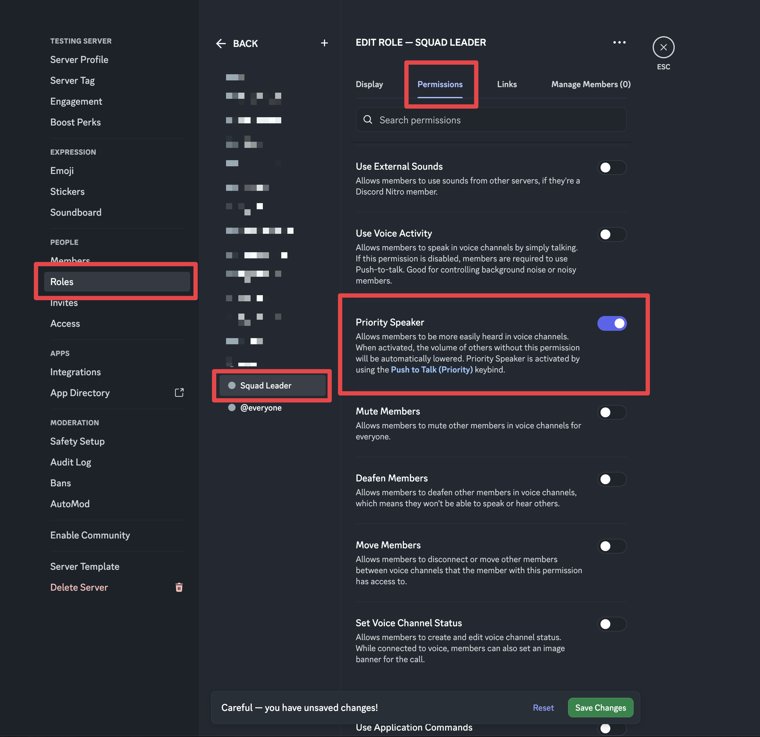 Discord Server Settings, Roles, Squad Leader role with the Priority Speaker permission turned on